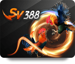 1xBet Thể Thao VIP: Các Mẹo Đặt Cược Hiệu Quả Dành Cho Bạn